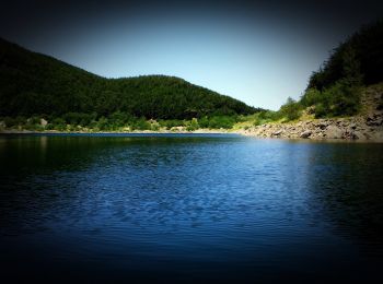 Percorso A piedi Monchio delle Corti - Prato Spilla - Lago Ballano - Lago Verde - Lago Martino - Photo