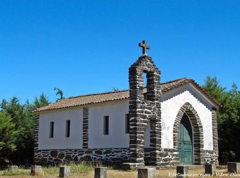 Percorso A piedi Ermelo e Pardelhas - Caminhos da Senhora da Graça: Ermelo - Senhora da Graça - Photo