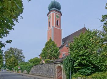 Tocht Te voet Dogern - Rüttebuck-Route - Photo