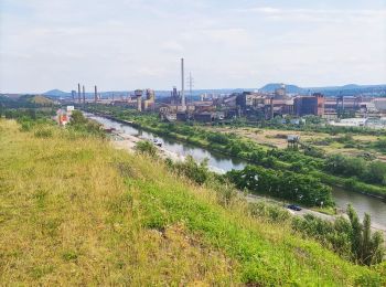 Trail Walking Charleroi - La Boucle Noire de Charleroi - Photo