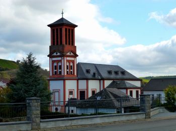 Trail On foot Wallhausen - VitalTour: Stein, Wein & Farbe - Photo