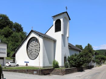 Percorso A piedi Gemeinde Mauerbach - Steinbach - Moosbrunner Boden - Photo