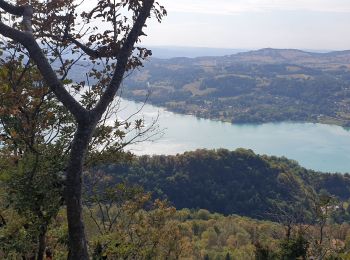 Trail Walking Aiguebelette-le-Lac - aiguebelette, col du crucifix - Photo