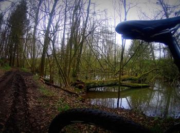 Trail Mountain bike Charleroi - ransart villes la ville - Photo