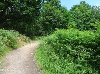 Trail On foot Gateshead - Boundary Walk - Photo