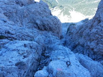 Tocht Te voet Primiero San Martino di Castrozza - Sentiero attrezzato della Lasta moia - Photo