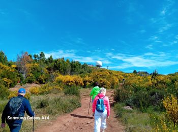 Trail Walking Monte - reco madeira - Photo