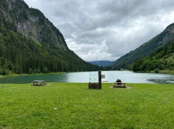 Percorso sport Montriond - Lac de Montriond - Photo