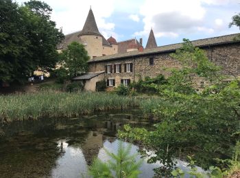 Tocht Stappen Quincié-en-Beaujolais - Quincié-En-Beaujolais (Les 3 châteaux)  - Photo