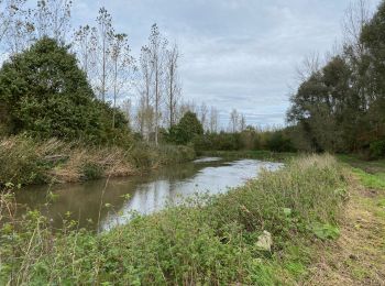 Tour Wandern Löwen - S-GR Dijleland : Leuven - Haacht - Photo