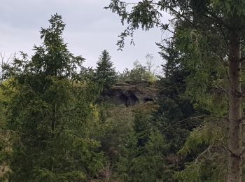 Randonnée Marche Lorquin - lorquin / roche au fées - Photo