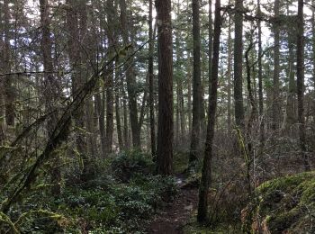 Percorso Marcia Saanich - Park Patrol 3: Grand Fir and Shooting Star trails.  - Photo