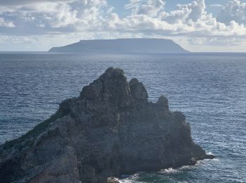 Randonnée Course à pied Saint-François - Anse  la gourde - Photo