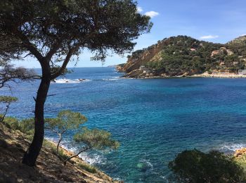 Tour Wandern Ensuès-la-Redonne - Méjean - La Redonne - Photo