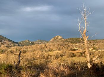 Randonnée Marche Saint-Julien-Chapteuil - Tour du Barou bis - Photo