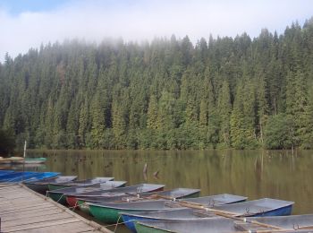 Trail On foot Gheorgheni - Lacu Roșu - Păstrăvărie - Lacu Roșu - Photo