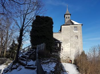 Randonnée A pied Stadt Kufstein - Jagdhütten-Runde - Photo