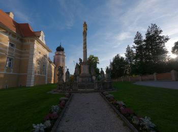 Trail On foot Vorau - Strassbauerwirtweg - Photo