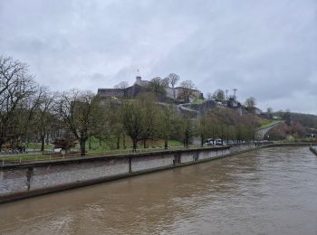 Trail Walking Namur - Namur - Photo