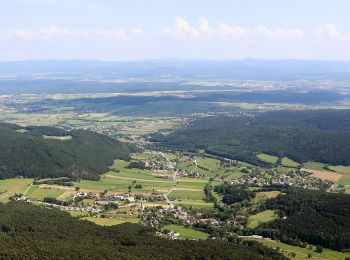 Randonnée A pied Gemeinde Höflein an der Hohen Wand - Springlessteig-Runde - Photo