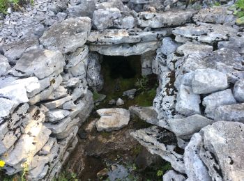 Tocht Stappen Saint-Agnan-en-Vercors - Malaval  - Photo