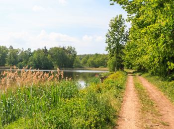 Tour Zu Fuß Chwaletitz - [Ž] Chvaletice - Zdechovice - Photo