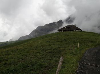 Trail Walking La Giettaz - Le chalet du curé  - Photo