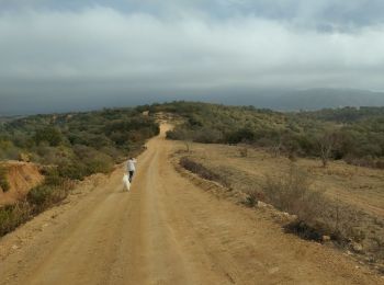 Excursión Senderismo Le Boulou - La bataille du Boulou - Photo