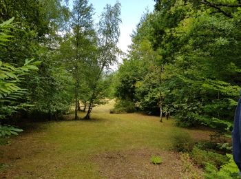 Tocht Mountainbike Espagnac - vtt Adrien Antoine et Bert - Photo