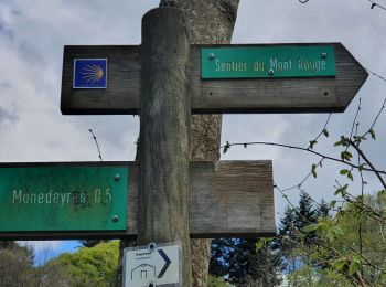 Tocht Stappen Queyrières - Sous le Mounier - Photo