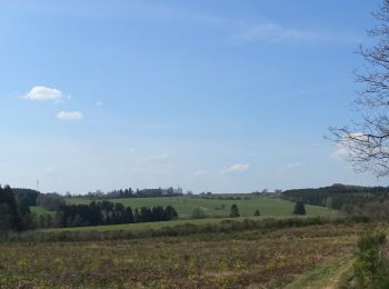 Excursión Senderismo Léglise - Ebly - La Claire Fagne - Photo