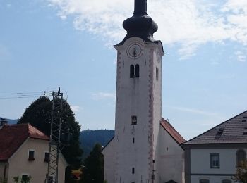 Tocht Te voet Slovenj Gradec - Bernekerjeva pot - Photo