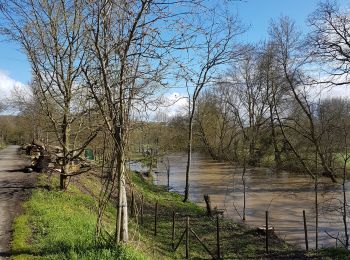 Randonnée Marche Val-du-Layon - Saint Aubin de Juigné - Photo