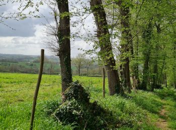 Excursión Senderismo Burgnac - Burgnac  les belles vues - Photo