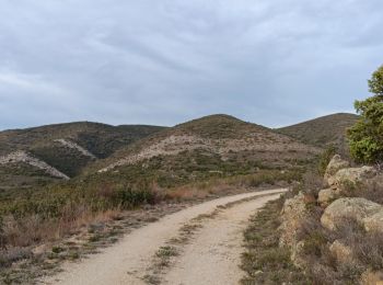 Randonnée Marche Trévillach - Séquière depuis le col des Auzines  - Photo