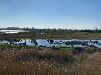 Randonnée Marche nordique Boismont - Chemin du littoral  - Photo