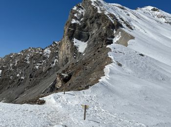 Tocht Stappen Péone - Col de Crous - Photo