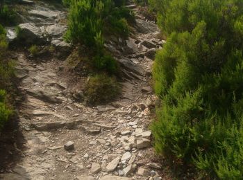 Tocht Stappen Bastia - chemin des crêtes au dessus de Bastia - Photo
