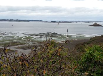 Trail Walking Plouézec - Brehec Paimpol 12/10/2023 - Photo