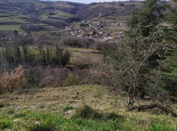 Excursión Senderismo Saint-Désirat - St Désirat  La madone - Photo