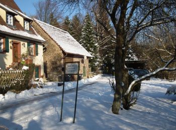 Tocht Te voet Onbekend - Rundwanderweg Königstuhl 5: Kohlhof-Weg - Photo