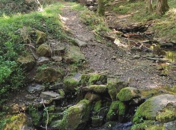 Randonnée Marche Florac Trois Rivières - Les Cévennes sentiers sympas  - Photo