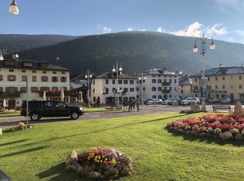 Trail On foot Auronzo di Cadore - IT-125 - Photo