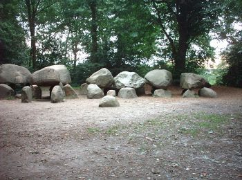 Tour Zu Fuß Borger-Odoorn - Bijvoetpad - Photo