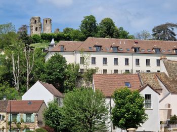 Tocht Stappen Montfort-l'Amaury - Yvelines_[Rando_Journée]_Montfort=>Les Mesnuls=>Autour_de_Montfort - Tronçon 2 - Photo