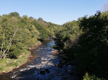 Trail Walking Lathus-Saint-Rémy - Roc Enfer - Photo