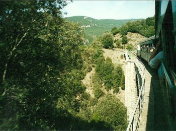 Tour Zu Fuß Seui - (SI Z20)  Caserma Forestale Montarbu - Taquisara - Photo