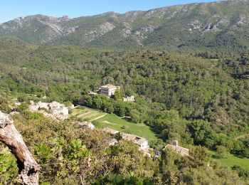 Excursión Senderismo Vauvenargues - Le Pic des Mouches - Photo