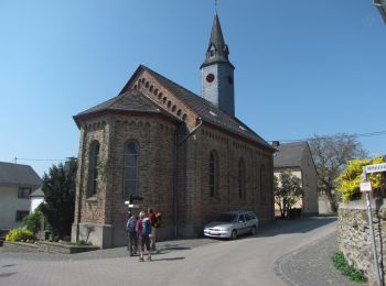 Tour Zu Fuß Lykershausen - Rheinsteig-Zuweg Dahlheim - Photo