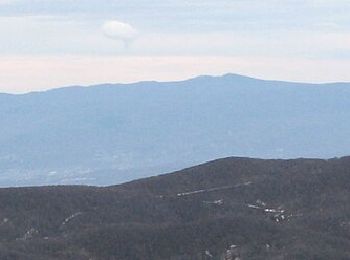 Tour Zu Fuß  - Gornje Jelenje - Vilje - Risnjak - Photo